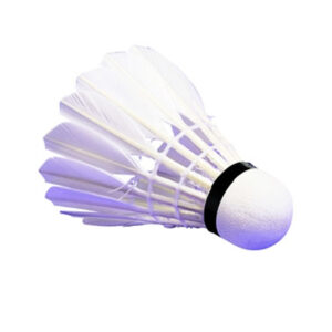 ลูกแบตมินตันสีขาว ยี่ห้อ STANDARD (1 ลูก)